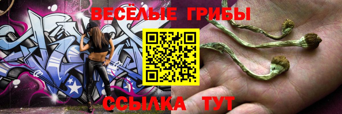 купить   Галлюциногенные грибы GOLDEN TEACHER  Вход с VPN  Галлюциногенные грибы ЛСД  Кувандык 
